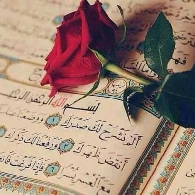 NADIA52481971's profile picture. الشعر هوايتي وحفظ القرآن غايتي ورضى والدي ورب العالمين  هدفي في هذه الحياة وزيارة البيت الحرام حلمي