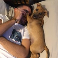 christian (@chriscndef7) 's Twitter Profile