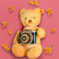 谷水さら (@natsutsubakitot) 's Twitter Profile