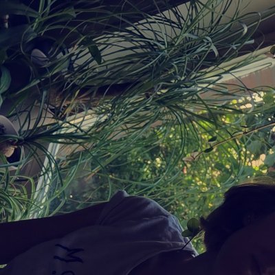 fckfmly_'s profile picture. Sehr geehrte Familie, hört auf mich zu stalken. Danke.