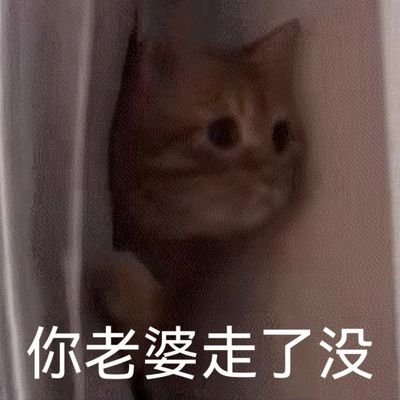 TextLoad's profile picture. 