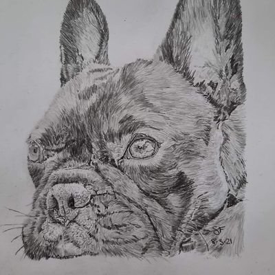 Nerd by day, artist by night.. Pet portraits, watercolour prints etc.

Very reasonable rates and no upfront payment.  DM for any questions or for quote.