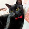 Kkbiyg3pOUddf7b's profile picture. 猫7匹飼ってます(=^・^=)
保護猫🐾
亀1匹

#猫好きさんと繋がりたい#猫のいる暮らし＃猫好き