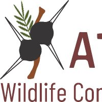 Athi Kapiti Wildlife Conservancies Association.(@athikapiti) 's Twitter Profile Photo