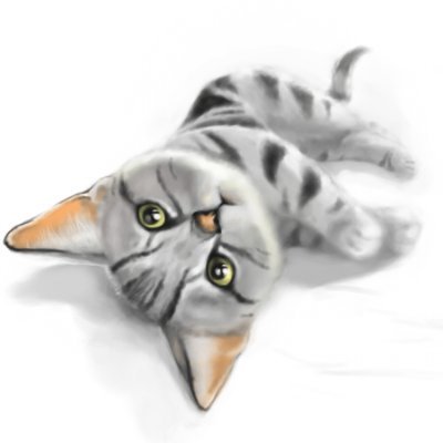 前川さんのプロフィール画像