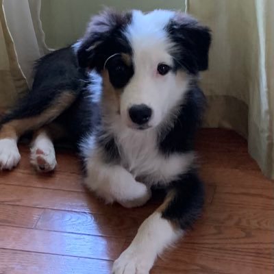 Michael90216937's profile picture. Sr. Rural Development Specialist with INRCAP. Enjoy traveling, Flyfishing, Reading, and spending time with my family.