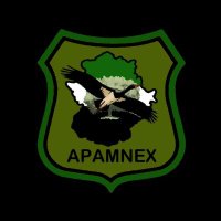 APAMNEX(@Apamnex1) 's Twitter Profile Photo