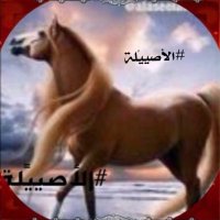 ⭐️الأصييًلة⭐️ (@alaseelah_00) 's Twitter Profile Photo ⭐️الأصييًلة⭐️ (@alaseelah_00) 's Twitter Profile Photo