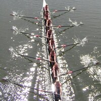 Princeton Ltwt Women (@wtigerlights) 's Twitter Profile