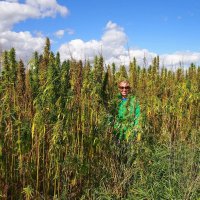 Think Hempy Thoughts (@hempythoughts) 's Twitter Profile