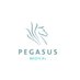 Pegasus Medical (@medical_pegasus) Twitter profile photo