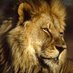chaotic proof math lion 🦁 (@tonythelion2500) Twitter profile photo chaotic proof math lion 🦁 (@tonythelion2500) Twitter profile photo