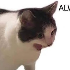 JMkrasher's profile picture. hi I post once a year maybe - she/her