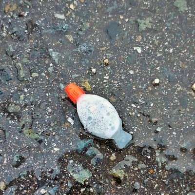 SKp_slv's profile picture. 情緒の乱れと布団の圧力に抗うぽんこつ