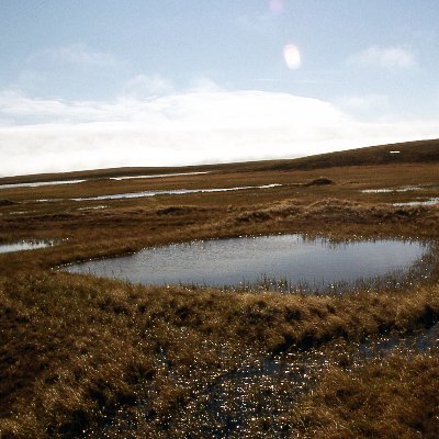 Investigating past & present permafrost thaw via #stableisotopes. Team from @UCLarchaeology @SussexGeog @SEELeeds: Funded by @LeverhulmeTrust PI:@NannonStevens