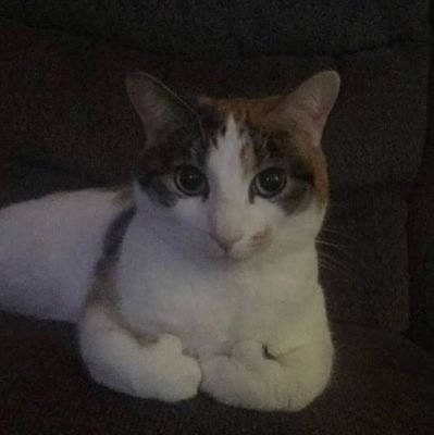 Rinso_encer's profile picture. Akun alter gak sih??