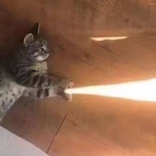 WakeUpAlia's profile picture. 