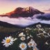 شهاب بن عبدالعزيز شهاب 🌼🐬 (@sa3ad999tasad) Twitter profile photo شهاب بن عبدالعزيز شهاب 🌼🐬 (@sa3ad999tasad) Twitter profile photo