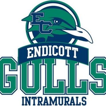 The official twitter page of Endicott Intramurals! #gogulls

For more info: https://t.co/jVx8jXcQIg