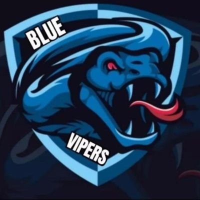 Official FC Blue Vipers