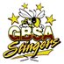 Green Bay South Academy (@GBSA2021) Twitter profile photo