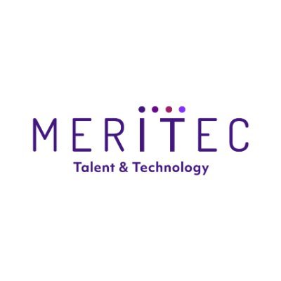 meritecltd Profile Picture