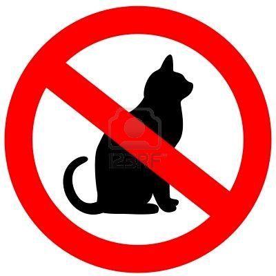 Así es aquí despídete de tu autoestima o hazle saber el mensaje a toda aquella persona que sencillamente CAGA! Oh BTW Si eres gato.. evita darme follow. Gracias
