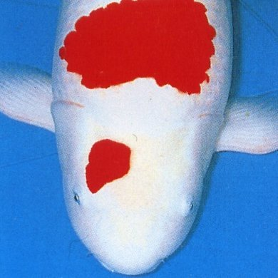 うきーさんのプロフィール画像