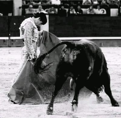 Torero