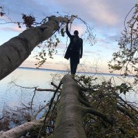 Felix Garten (@garten_felix) 's Twitter Profile
