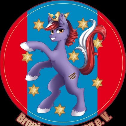Bronies Thüringen e. V.さんのプロフィール画像