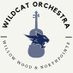 Willow Wood Orchestra (@wwjhorchestra) Twitter profile photo Willow Wood Orchestra (@wwjhorchestra) Twitter profile photo