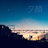 夕顔(@fleurs_wisteria) 's Twitter Profile Photo