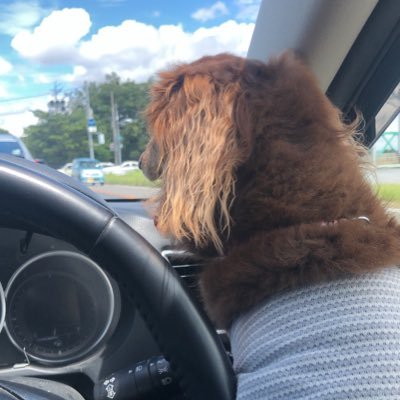 wnY4G01iXZ2POSx's profile picture. 