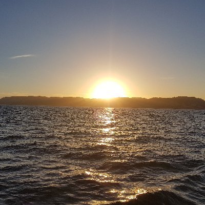 Flanbynonmerci's profile picture. 