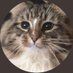 Atelier Moka minne ヤフーフリマ ラクマ 販売中 レジンアクセサリー (@ateliermoka) Twitter profile photo Atelier Moka minne ヤフーフリマ ラクマ 販売中 レジンアクセサリー (@ateliermoka) Twitter profile photo