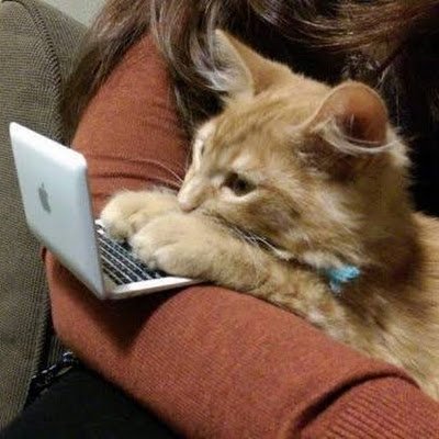 FURRYCATxD's profile picture. NEVER GIVE UP