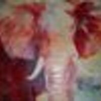 Janet Turner 🐘 (@turnerjanetb) 's Twitter Profile