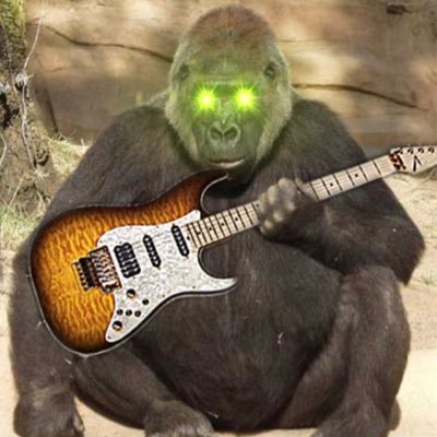 GuitarGorilla1's profile picture. Guitarist 🤘🏻😎🤘🏻🦍