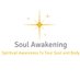 Soul Awakening (@bliss4u2) Twitter profile photo