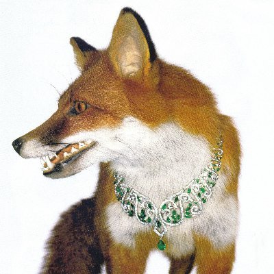 fox39forever Profile Picture