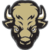 ColoradoBuffaloesWire (@BuffaloesWire) Twitter profile photo