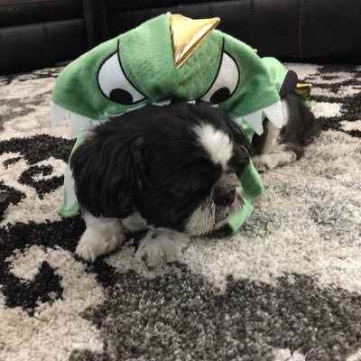 GGirlie's profile picture. 