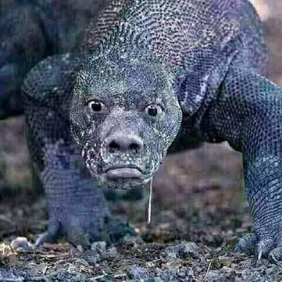 ADAHACK10's profile picture.