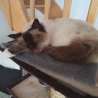 Jacques070555 - Pro UE - OTAN - SLAVA UKRAÏNI (@jacques2514) 's Twitter Profile