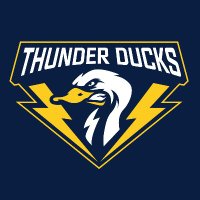 Thunder Ducks (@tdkgamingg) 's Twitter Profile Photo Thunder Ducks (@tdkgamingg) 's Twitter Profile Photo