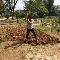 Gaurav Shekhar Yadav (@gauravshekhary) 's Twitter Profile