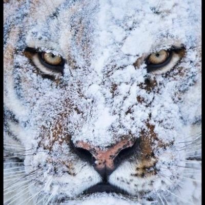 abjad_ba's profile picture. خروج مؤقت