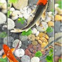 Alisa Johnston - @AlisaJo25864558 - Twitter