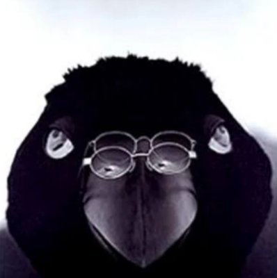 nezimakibird32's profile picture. 学部で哲学、大学院で建築を専攻。 本業はインハウスの空間デザイナー。デザイン業界は体力勝負なので、最近徹夜が、つらいっす。